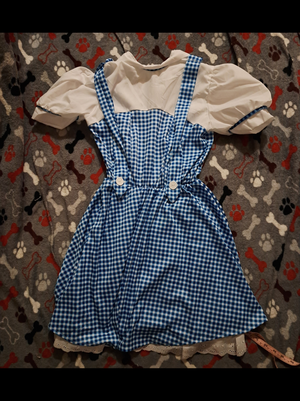 Dorothy Wizard Of Oz Costume Girls Size Large
